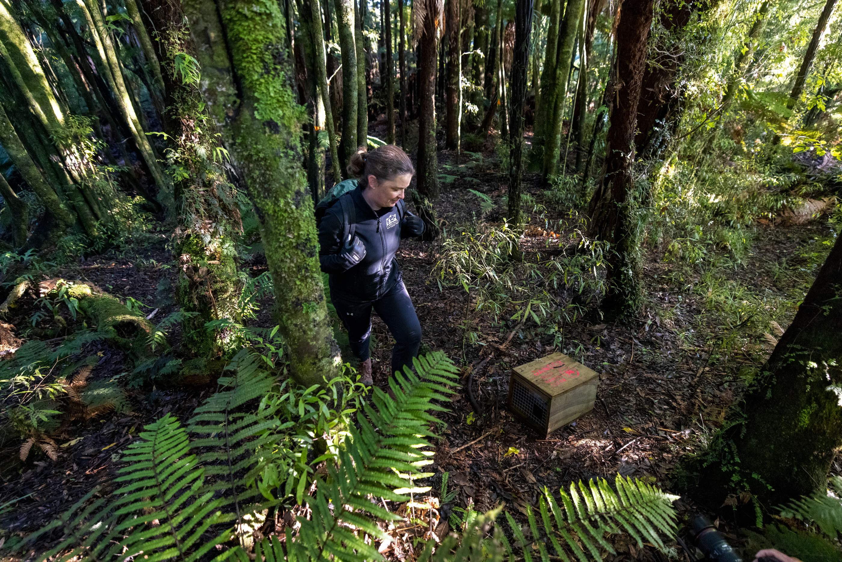 Sustainability at Timber Trail Lodge - Visit Ruapehu.jpg